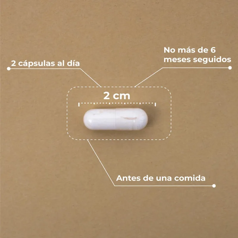 Kobho Pre-Post Probiotico, 60 capsulas Kobho Pre-Post Probiotico, 60 capsulas