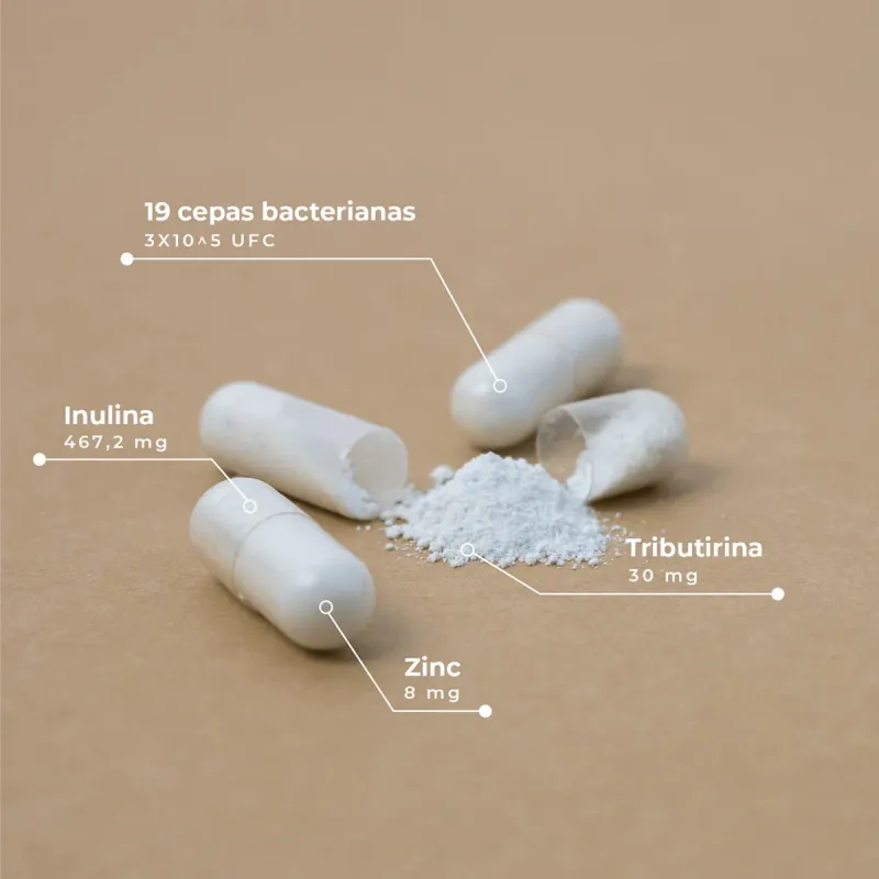 Kobho Pre-Post Probiotico, 60 capsulas Kobho Pre-Post Probiotico, 60 capsulas