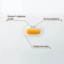 Kobho Curcuma + Piperin,60 capsulas Kobho Curcuma + Piperin,60 capsulas