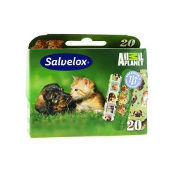 Salvelox Animal Planets 12x20