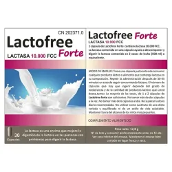 Bluecube Lactofree Forte, 30 cápsulas | Farmacia Barata Bluecube Lactofree Forte, 30 cápsulas | Farmacia Barata