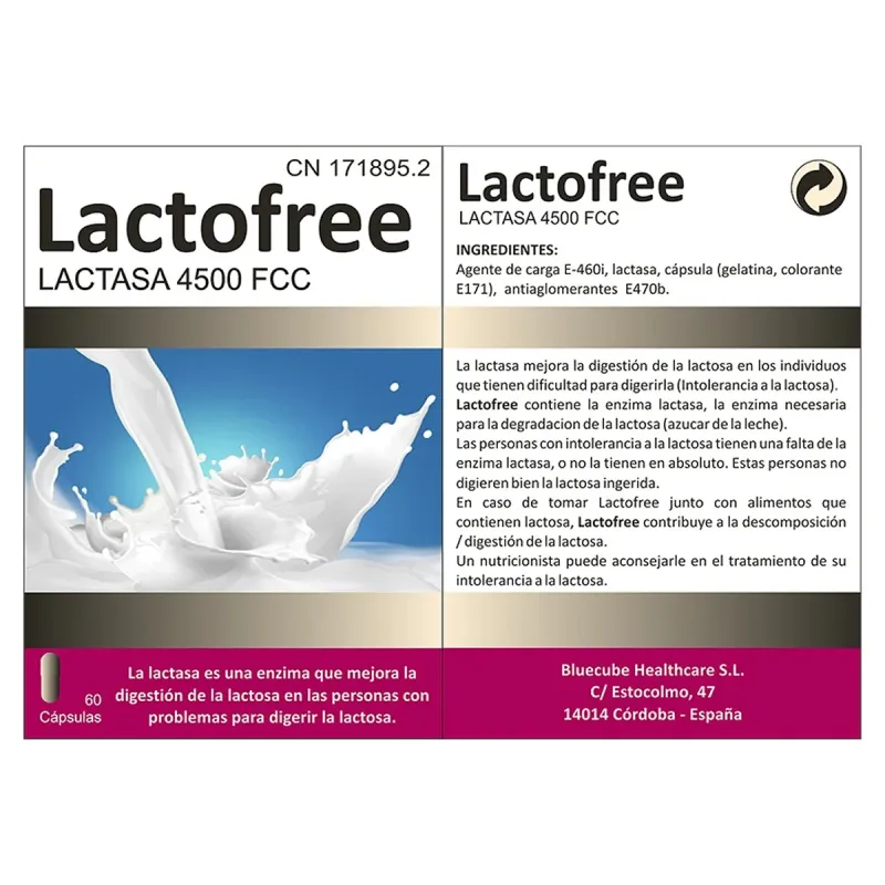 Bluecube Lactofree | Farmacia Barata Bluecube Lactofree | Farmacia Barata