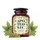 Apoteosic Té Matcha, 45 gramos