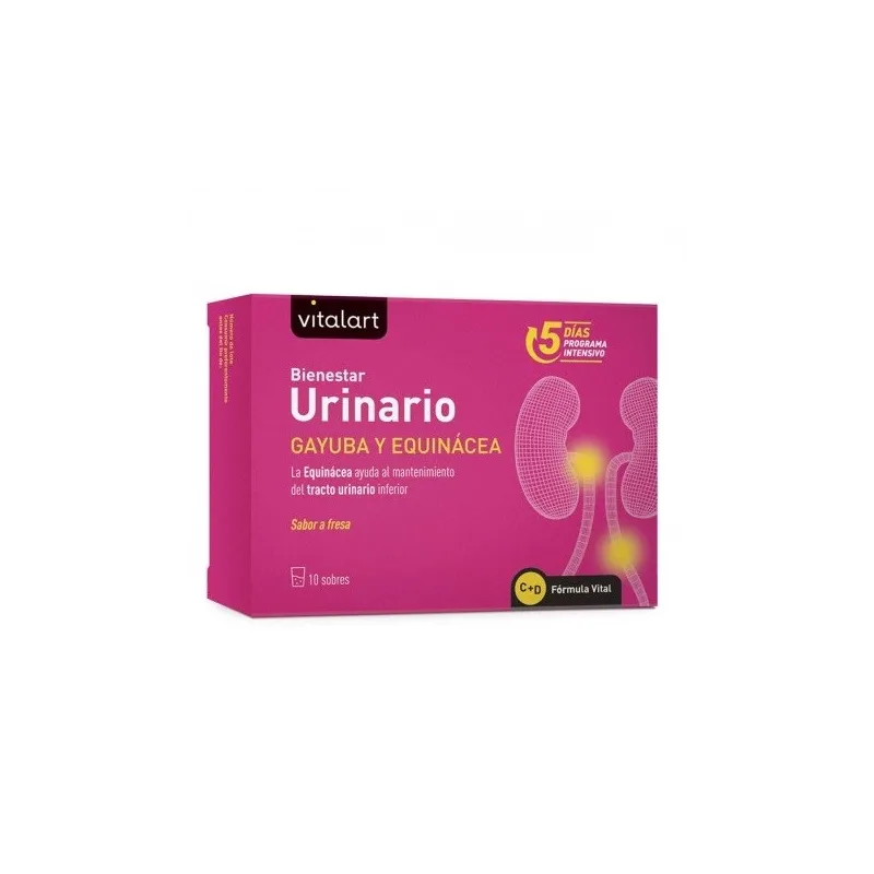 Vitalart Bienestar urinario, 10 sobres