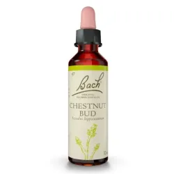 Flor de bach chestnut bud