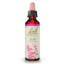 Flor de Bach ELM 20 ml
