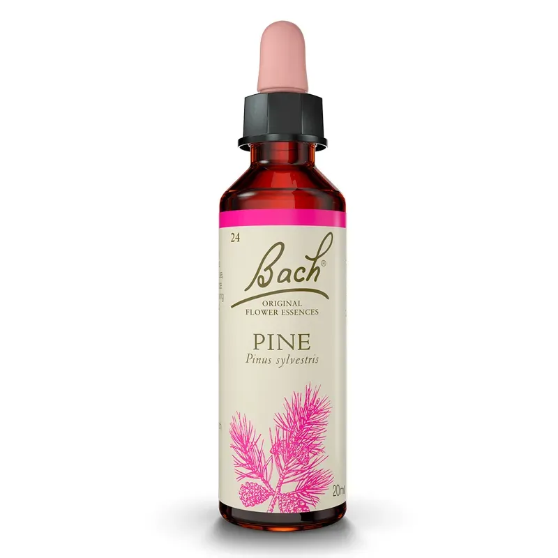 Flores de Bach Pine 20 ml | Farmacia Barata Flores de Bach Pine 20 ml | Farmacia Barata