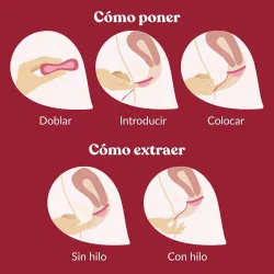 Enna Cycle Copa Menstrual Diseño Extraplano Talla Única | Farmacia Barata Enna Cycle Copa Menstrual Diseño Extraplano Talla Única | Farmacia Barata