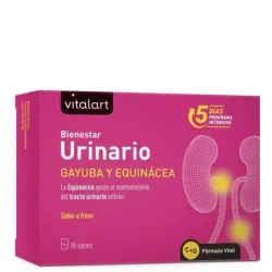 Vitalart Bienestar urinario, 10 sobres