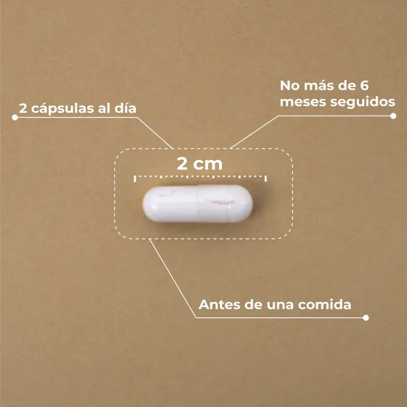 Kobho Pre-Post Probiotic XL 90 cápsulas | Farmacia Barata