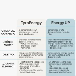 IVB Energy Up 60 cápsulas | Farmacia Barata