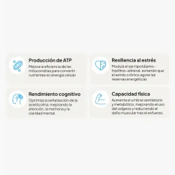 IVB Energy Up 60 cápsulas | Farmacia Barata