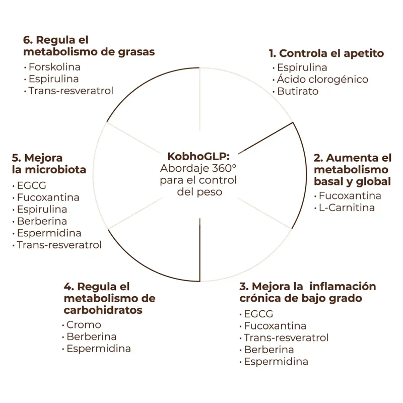 KobhoGLP 90 cápsulas + 30 viales | Farmacia Barata