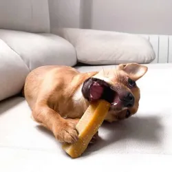 Churpi Barrita del Himalaya 33 g, perros pequeños (-4 kg) | Farmacia Barata