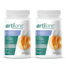 Artilane Forte Polvo Duplo, 2x220 gr
