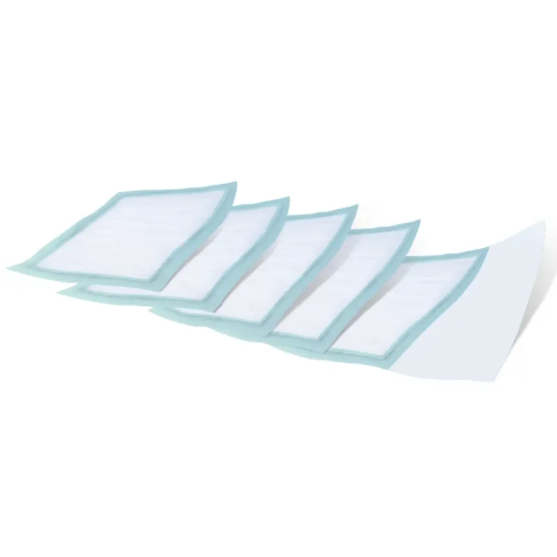 ABS Empapadores 60x40 cm 20 uds | Farmacia Barata