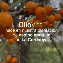 Vitae Oliovita, 150 cápsulas | Farmacia Barata Vitae Oliovita, 150 cápsulas | Farmacia Barata