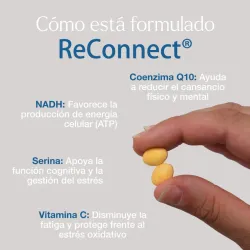 Vitae Reconnect | Farmacia Barata Vitae Reconnect | Farmacia Barata