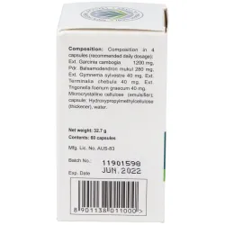 Himalaya healthcare ayurslim adelgazar 60cáps | Farmacia Barata