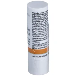 Dr. hauschka protector labial stick 5g | Farmacia Barata Dr. hauschka protector labial stick 5g | Farmacia Barata