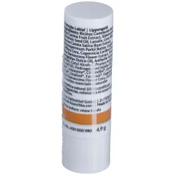 Dr. hauschka protector labial stick 5g | Farmacia Barata Dr. hauschka protector labial stick 5g | Farmacia Barata