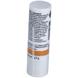 Dr. hauschka protector labial stick 5g | Farmacia Barata Dr. hauschka protector labial stick 5g | Farmacia Barata