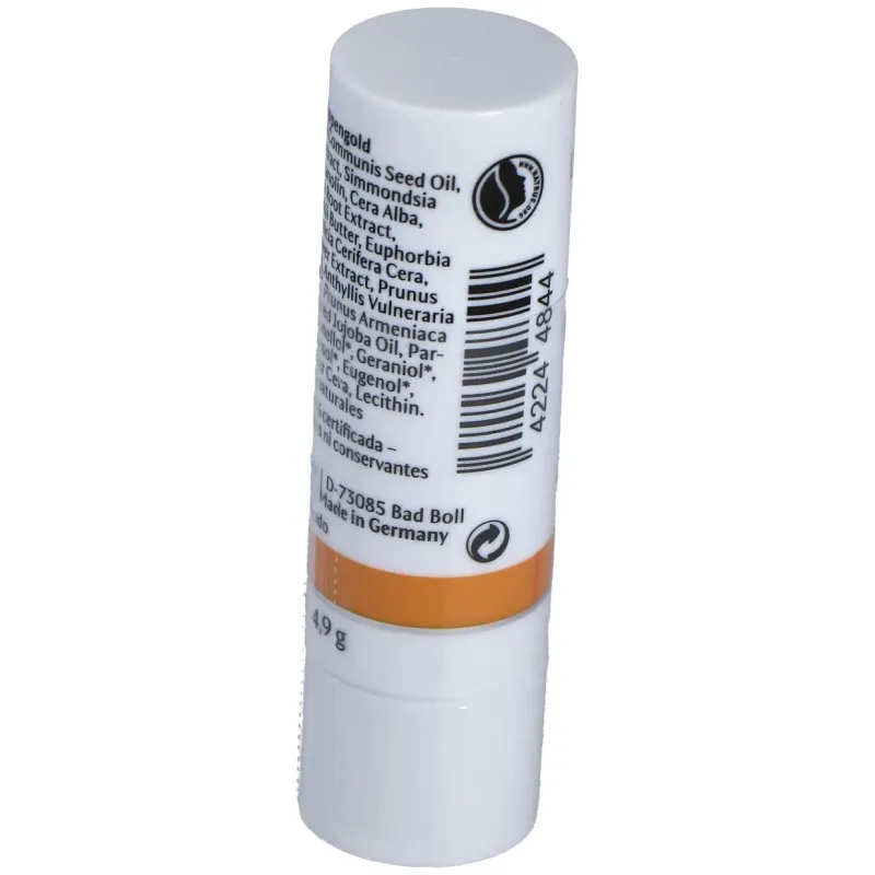 Dr. hauschka protector labial stick 5g | Farmacia Barata Dr. hauschka protector labial stick 5g | Farmacia Barata