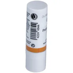 Dr. hauschka protector labial stick 5g | Farmacia Barata Dr. hauschka protector labial stick 5g | Farmacia Barata