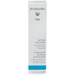 Dr. hauschka med crema facial planta de la escarcha 40ml