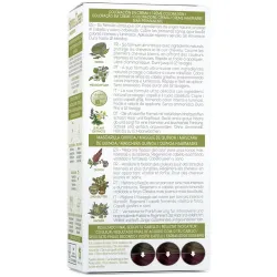 Naturtint kit henna cream 5.62 caoba | Farmacia Barata