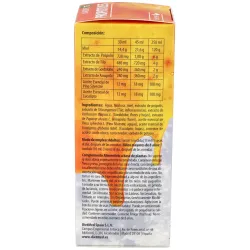 Dietmed propotuss te jarabe eucalipto 250ml | Farmacia Barata