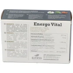 Betula energo vital 30caps | Farmacia Barata