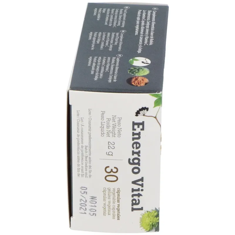 Betula energo vital 30caps | Farmacia Barata