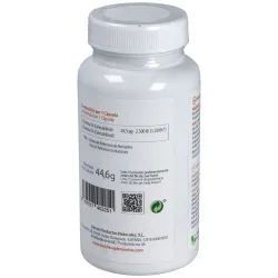Betula vita d 2500 90caps | Farmacia Barata Betula vita d 2500 90caps | Farmacia Barata
