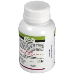 Avd micotherapy linfo 90caps | Farmacia Barata