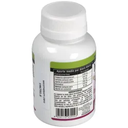 Avd micotherapy linfo 90caps | Farmacia Barata