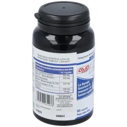 Performance brain 60cap. | Farmacia Barata