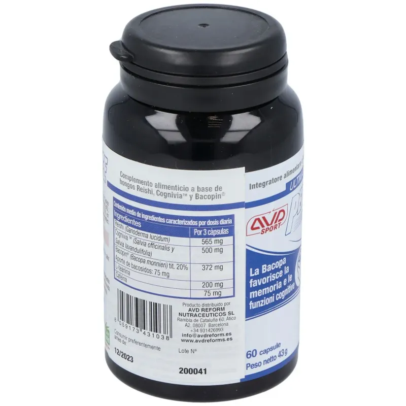 Performance brain 60cap. | Farmacia Barata