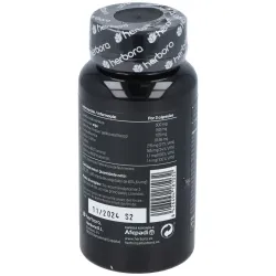 Herbora fosfomen neuromem premium 60caps | Farmacia Barata