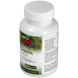 Raab vitalfood bergamota-alcachofa 100caps | Farmacia Barata