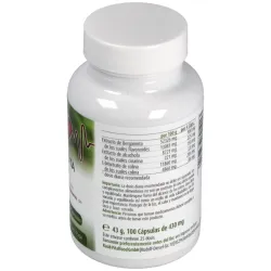 Raab vitalfood bergamota-alcachofa 100caps | Farmacia Barata