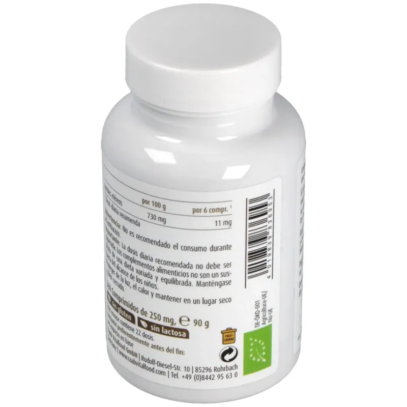 Raab jengibre 160comp bio | Farmacia Barata