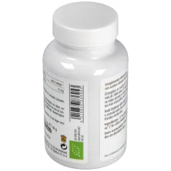 Raab jengibre 160comp bio | Farmacia Barata