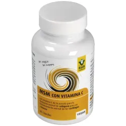 Raab vitalfood msm con vitamina c 90caps