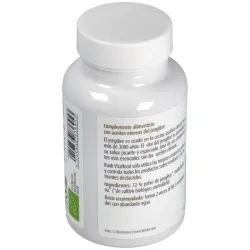Raab jengibre 160comp bio | Farmacia Barata