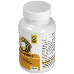 Raab vitalfood msm con vitamina c 90caps | Farmacia Barata