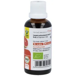 Raab vitalfood pomelo extracto pepita bio 50ml | Farmacia Barata Raab vitalfood pomelo extracto pepita bio 50ml | Farmacia Barata