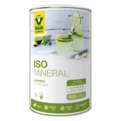 Raab vitalfood iso-mineral sabor lima 600g