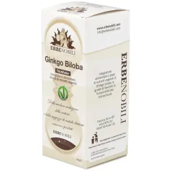 Ginkgo biloba ginkgo biloba extract fitomater 50ml | Farmacia Barata