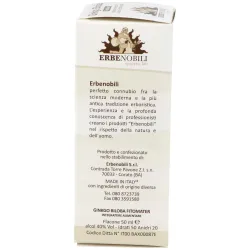 Ginkgo biloba ginkgo biloba extract fitomater 50ml | Farmacia Barata